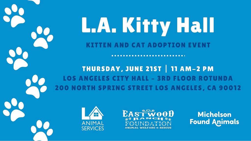 cat adoption | Eastwood Ranch Foundation - Animal Advocacy