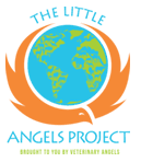 The Little Angel Project